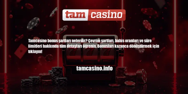 Tamcasino Bonus Şartları Nelerdir