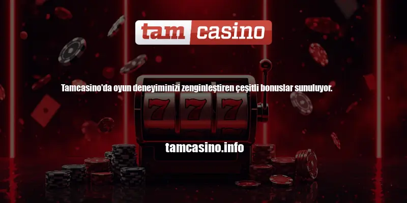 Tamcasino Bonus Şartları