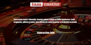 Tamcasino Nedir? | Tamcasino