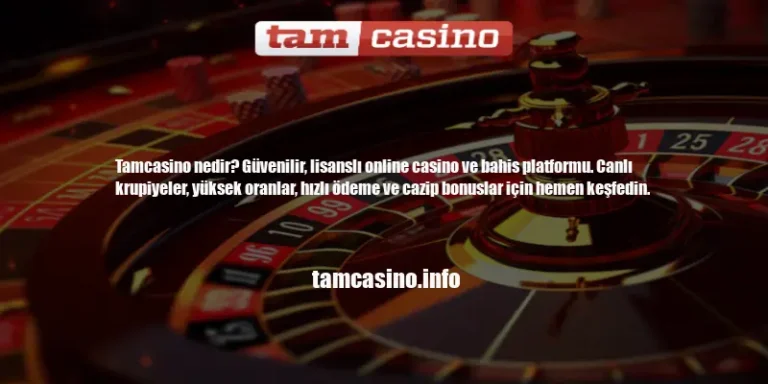 Tamcasino Nedir? | Tamcasino